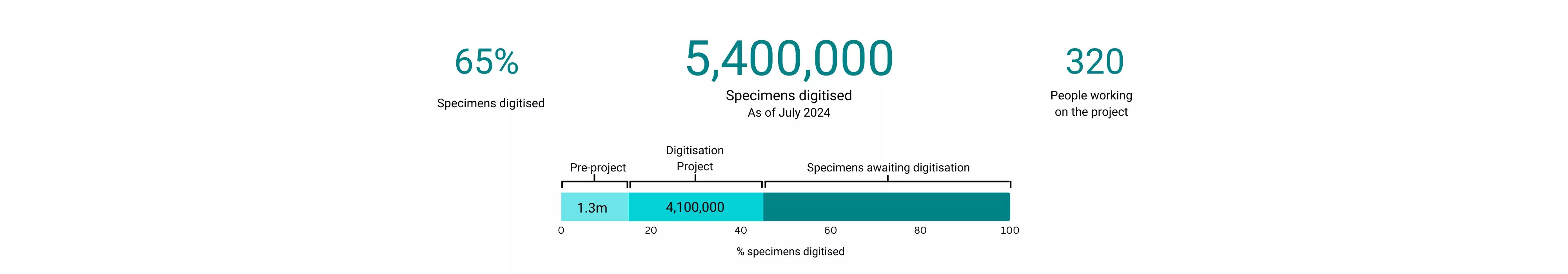 Graphic showing the Digitisation Project numbers to date Graphic showing the Digitisation Project numbers to date