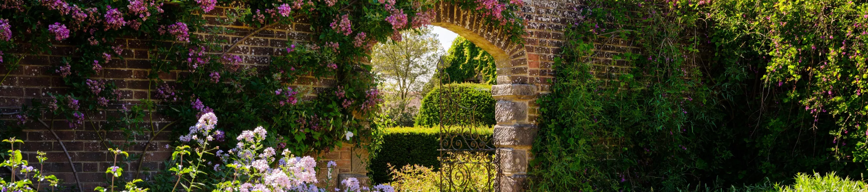 Jim Holden © RBG Kew