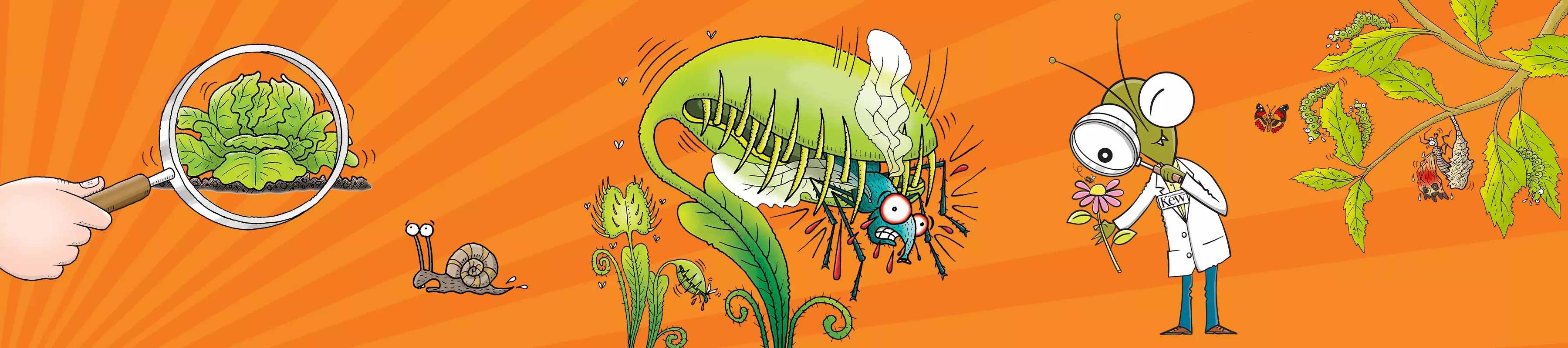 Horrible Science at Kew Banner A cartoon insect in a lab coat looks at a flower through a magnifying glass