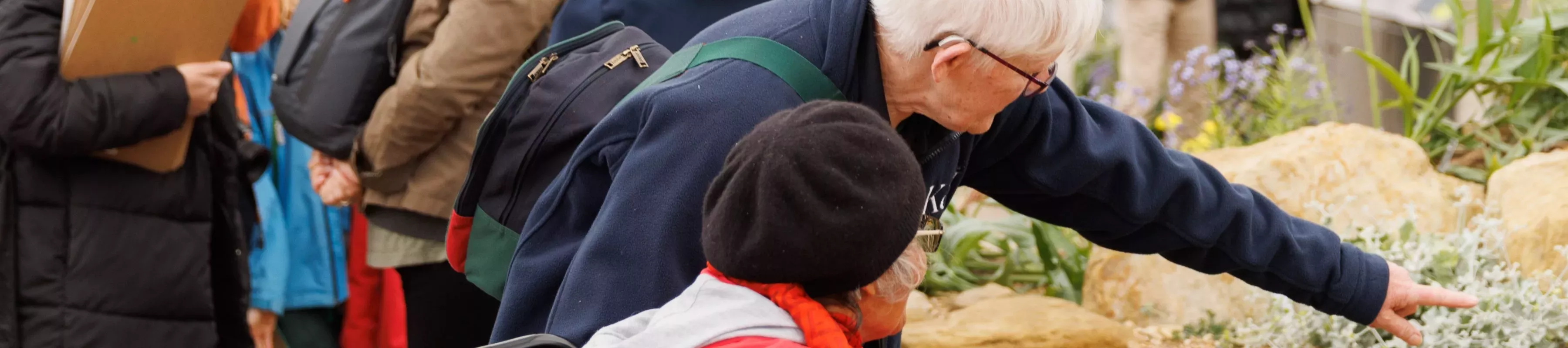 Dementia friendly health walks A person pointing at a plant in a rocky display to someone sat next to them