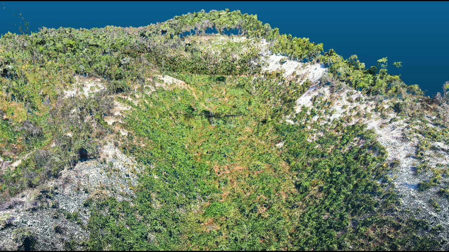 Second - drone imagery of the burnt area six months after burning shows the initial phases of recovery © Jenny Williams, RBG Kew A computer render of a valley six months after burning