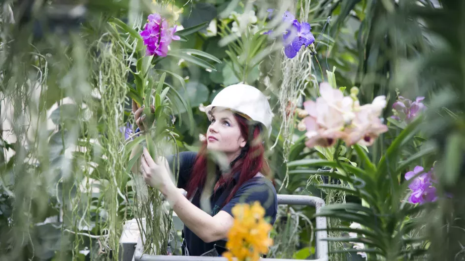 Elisa Biondi in Princess of Wales Conservatory © Jeff Eden/RBG Kew