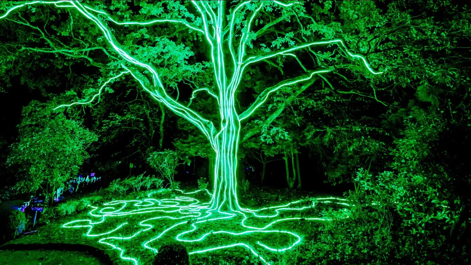 Halloween at Kew © RGLiveSony Music A tree covered in neon green lights