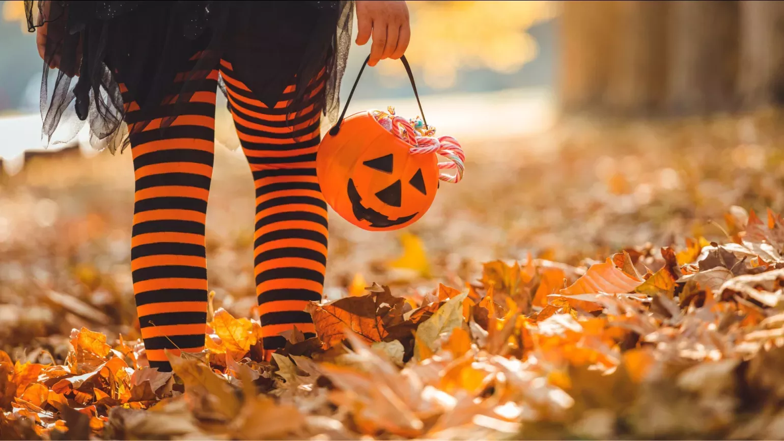 Halloween at Kew © RBG Kew A children in long black and orange socks and holding a plastic pumpkin walking through leaves
