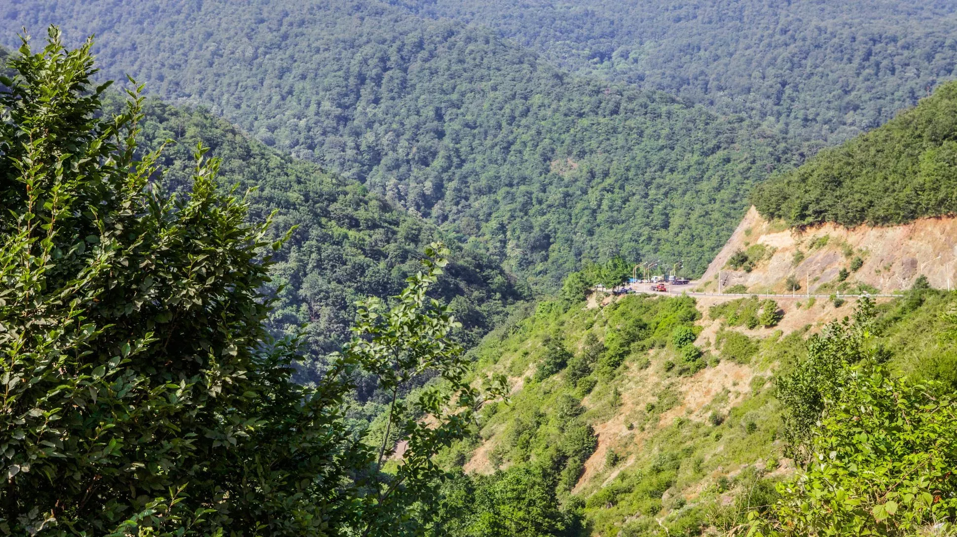 Hyrcanian forest in Gilan, Iran, Ninara on Wikimedia Commons CC BY 2.0 A forested landscape with a road running by a cliff