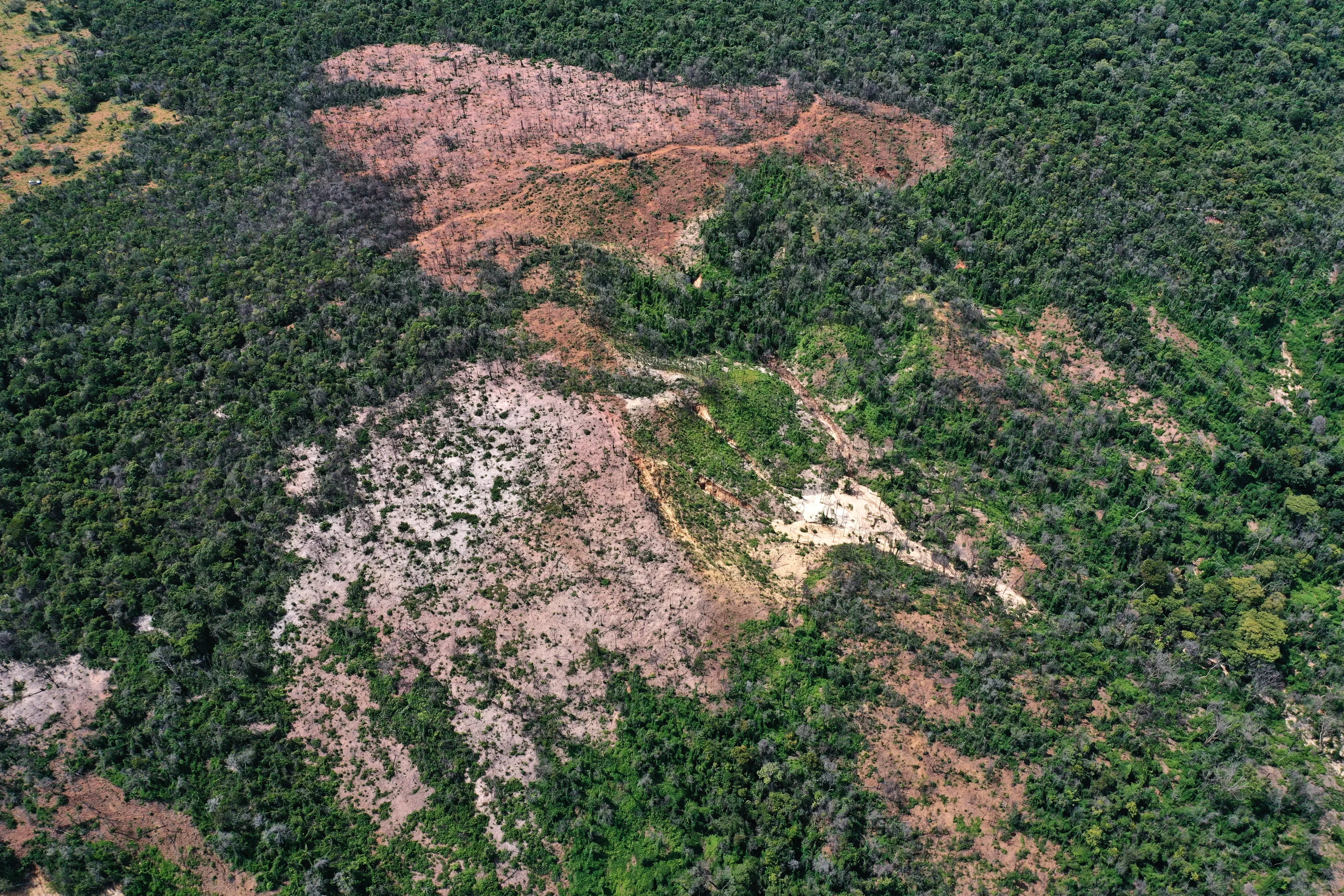 From the air, the scars of fire are clear to see through a once green landscape of dry forest © Jenny Williams, RBG Kew Seen from above, burnt areas stand out as brown patches in an otherwise sea of green