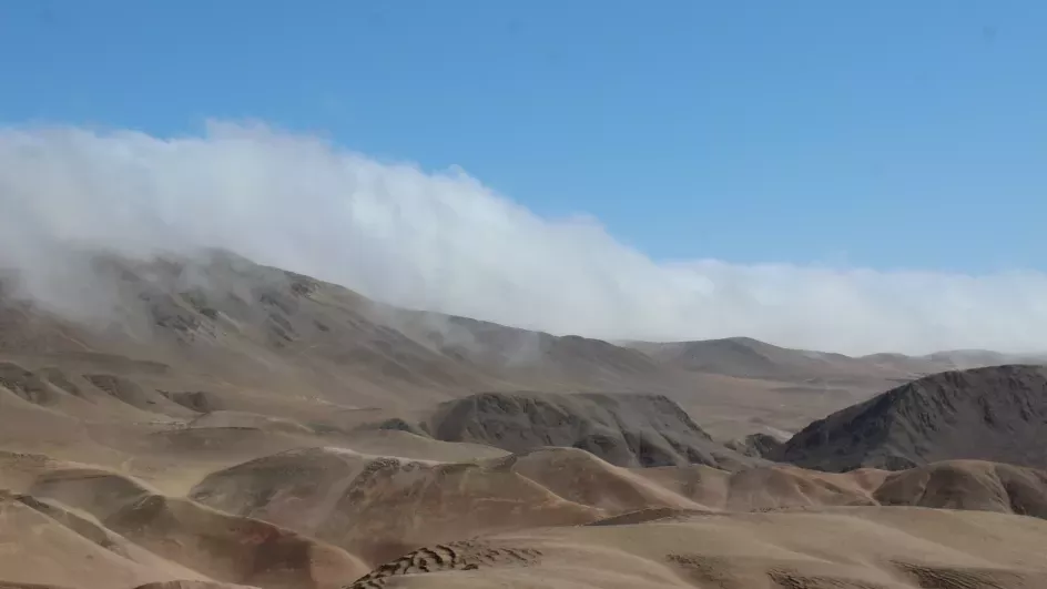 Viewed from the outside, the low fogs that blanket lomas with life-giving moisture appear as huge clouds atop the otherwise dry hills. © Oliver Whaley, RBG Kew