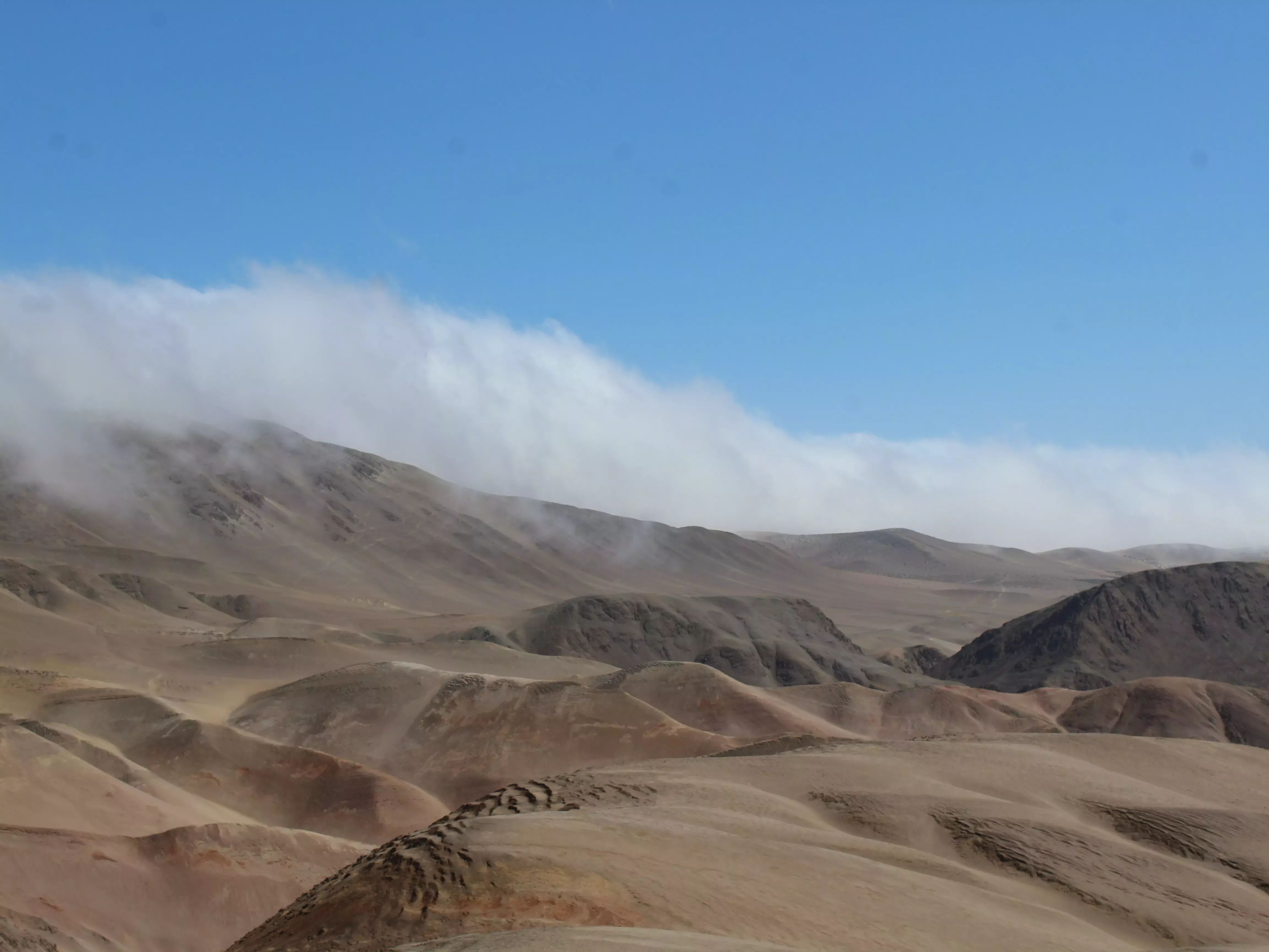 Viewed from the outside, the low fogs that blanket lomas with life-giving moisture appear as huge clouds atop the otherwise dry hills. © Oliver Whaley, RBG Kew Fog crests a distant hilltop
