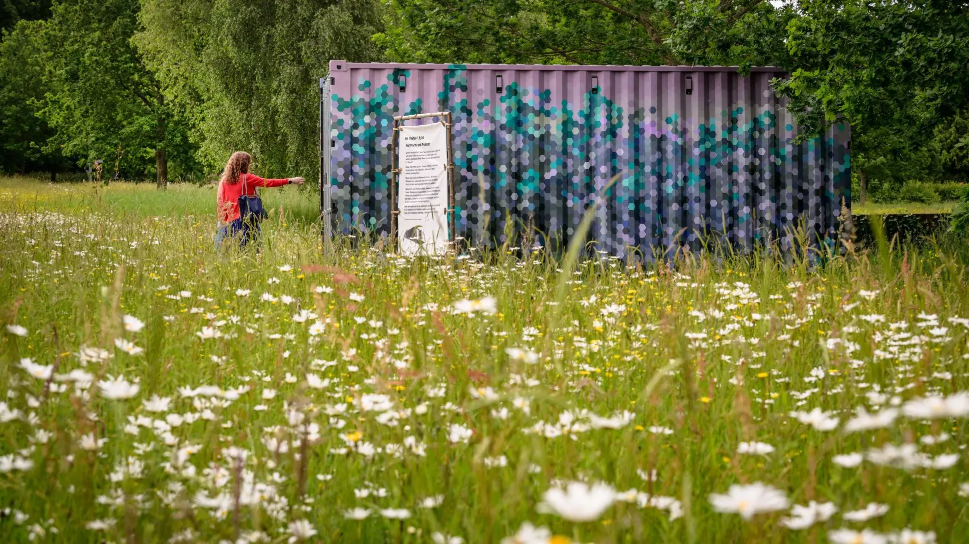 In Visible Light by Heinrich and Palmer, Jim Holden © RBG Kew A large decorated shipping container in a field of flowers