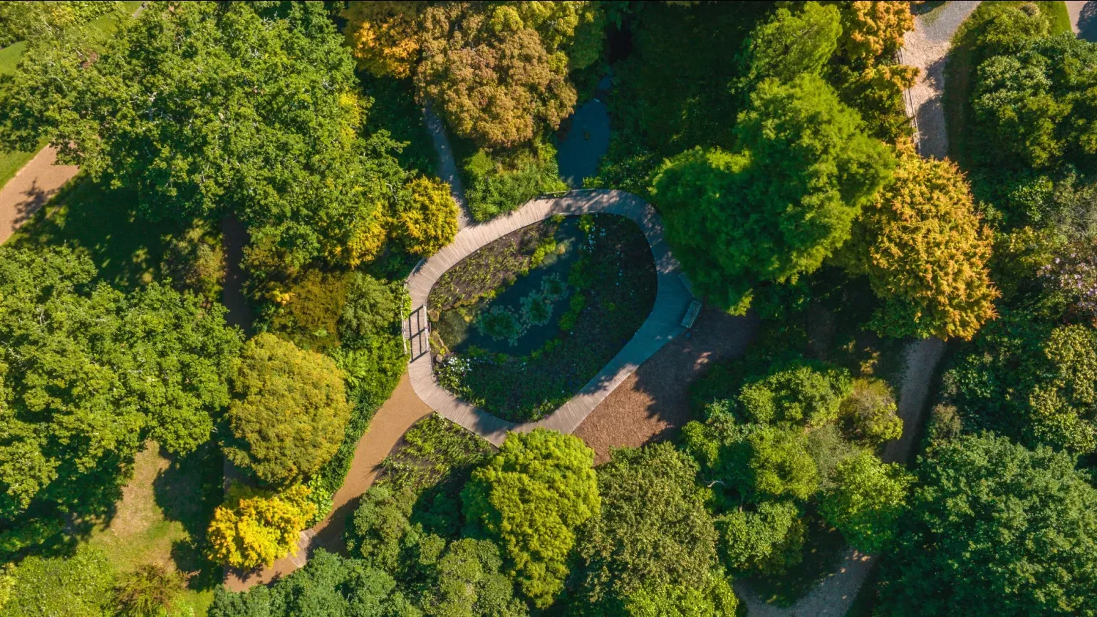 Wakehurst's Iris Dell, Visual Air © RBG Kew An aerial shot of trees, walkways and water at the Iris Dell at Wakehurst