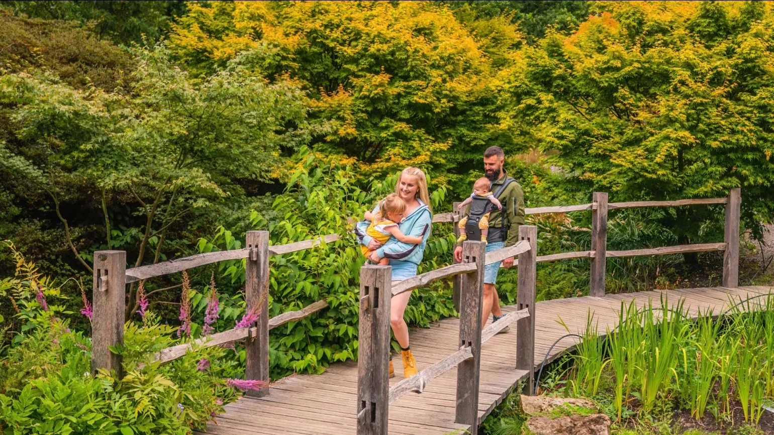 A family in Wakehurst's Iris Dell, Visual Air © RBG Kew A family walk along a wooden walkway in a colourful Iris Dell