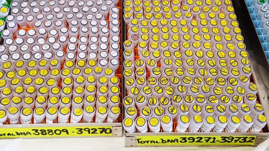 DNA collection