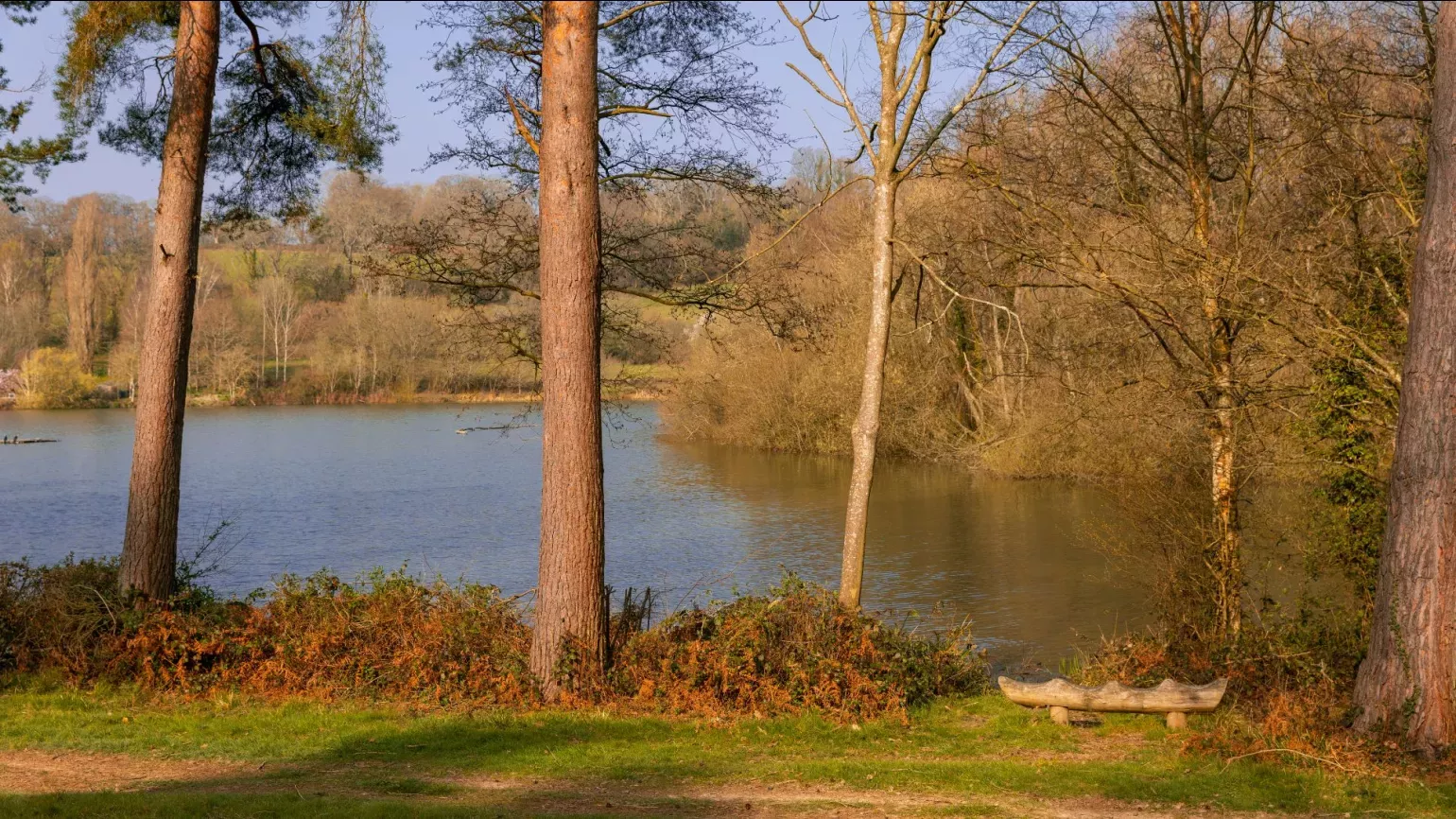 Loder Valley at Wakehurst, James Ratchford © RBG Kew Several trees standing next to a large lake