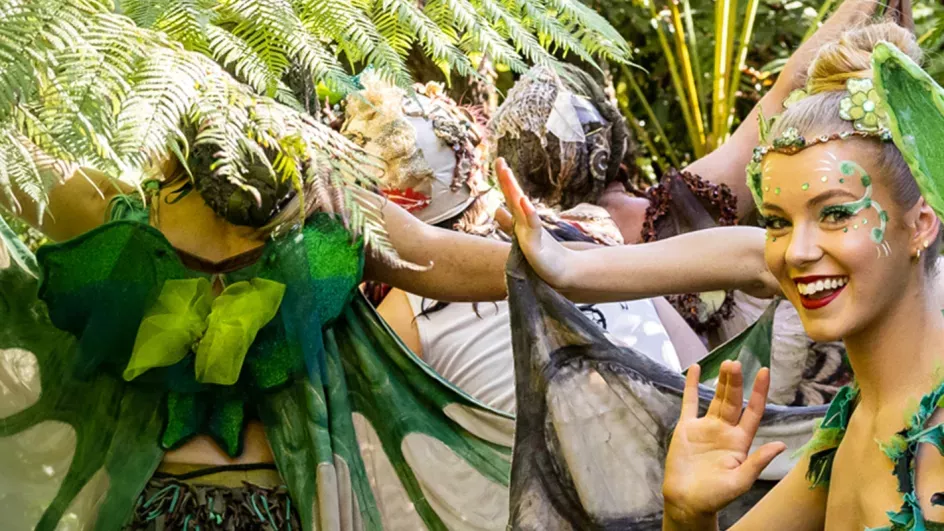 The Dream Fairies - Adventure to Bubble Land © Australian Shakespeare Company
