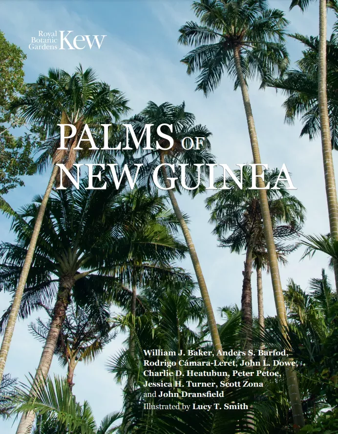 Palms of New Guinea is available to purchase in hard copy or read online free of charge © RBG Kew A view looking up at palms is overlaid with the text "Palms of New Guinea" and a list of authors