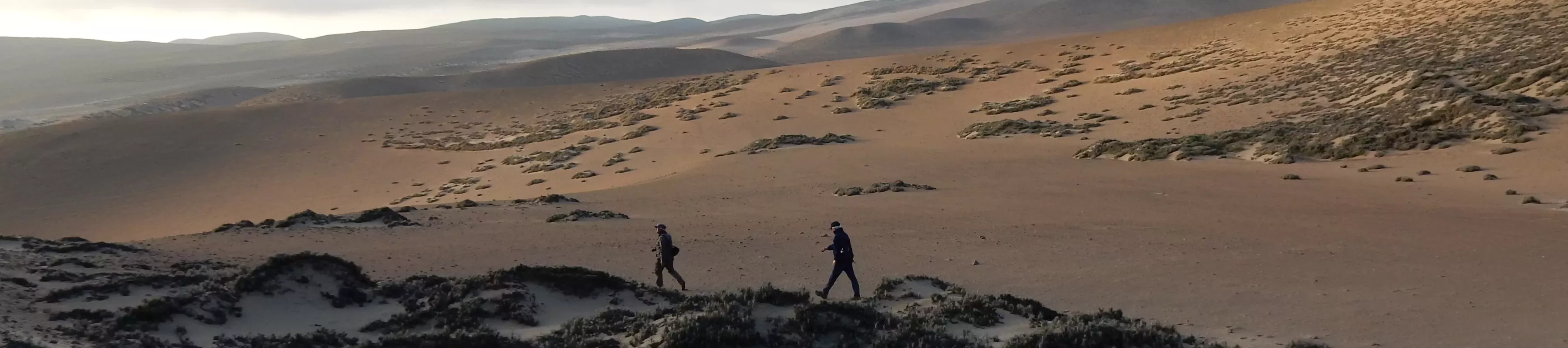 Lomas landscape Peru Two men walk among desert plants and sand