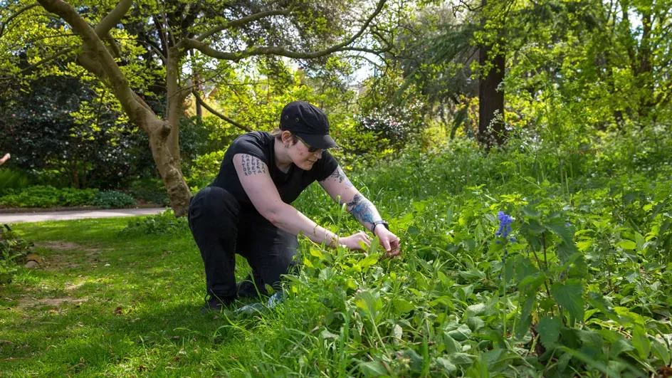 PhD student collecting plants © RBG Kew.