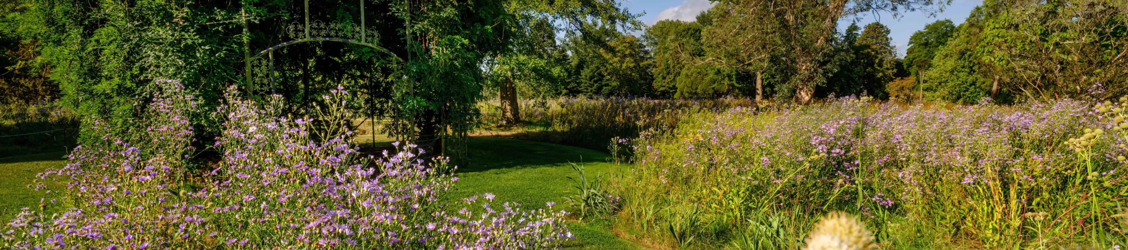 Wakehurst American Prairie, Visual Air © RGB Kew September 2023 Lush American Prairie surrounding the Bird Cage seating area