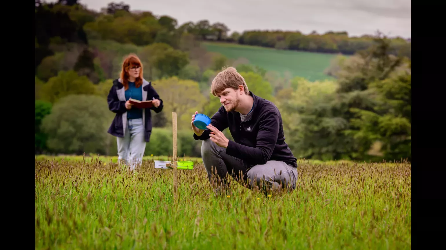 Landscape Ecology Programme researchers at Wakehurst, Jim Holden © RBG Kew Two researchers kneeling down in a field inspecting plants and pollinators