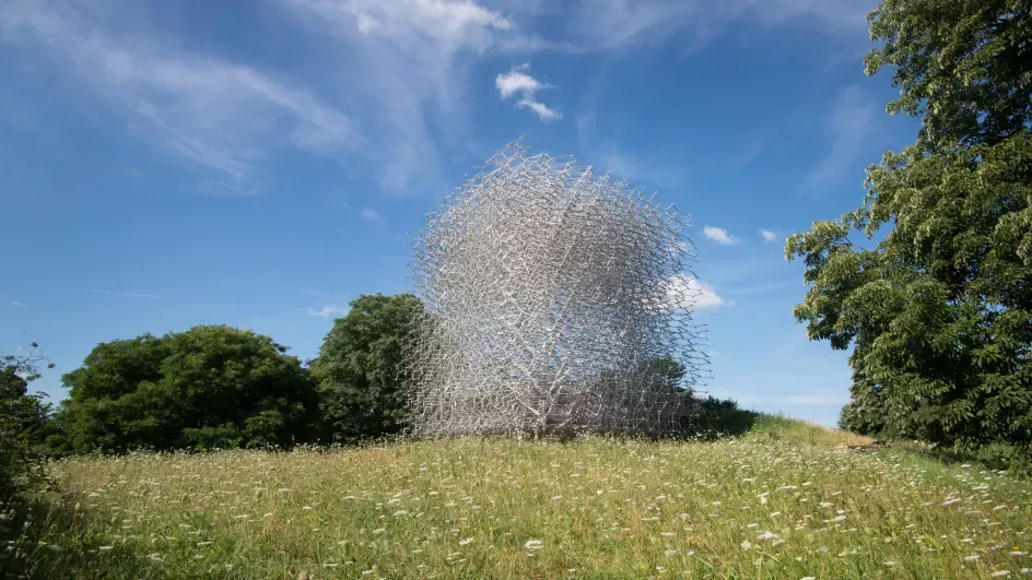 The Hive, an installation by Wolfgang Buttress at Kew Gardens