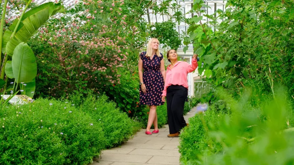 Visitors in the Temperate House, Jim Holden © RBG Kew